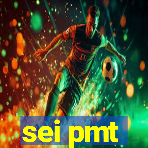 sei pmt